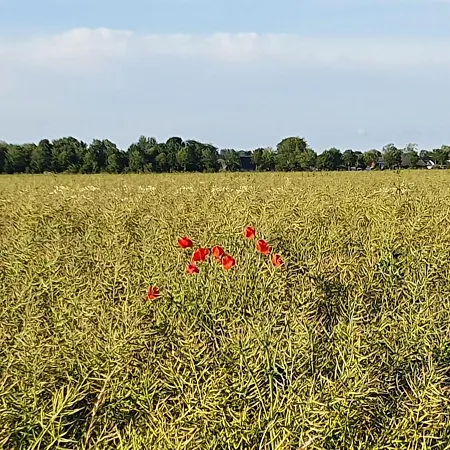 Moewennest Lejlighed