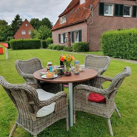 Moewennest