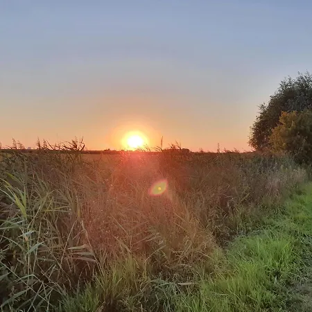 Lejlighed Moewennest