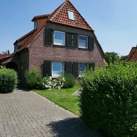Moewennest *